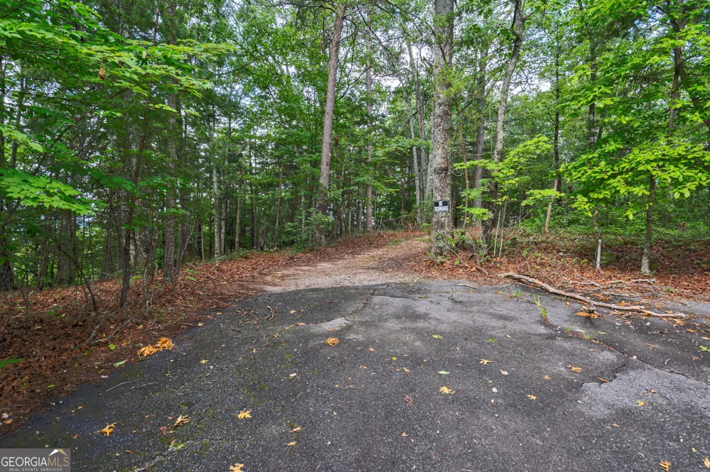 0 York Cemetery RD Sautee Nacoochee, GA 30571