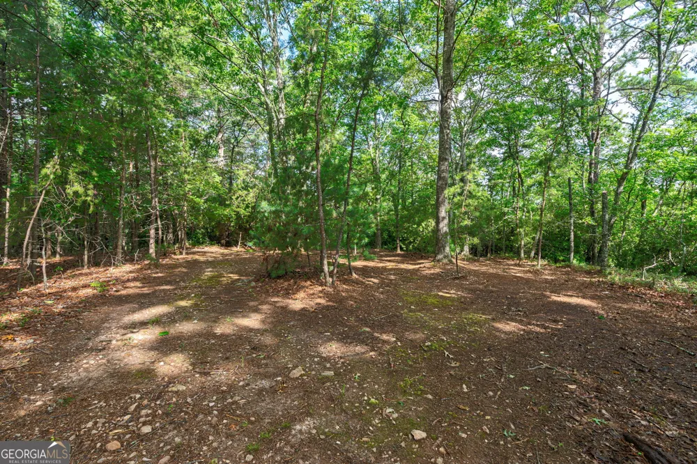 0 York Cemetery RD Sautee Nacoochee, GA 30571
