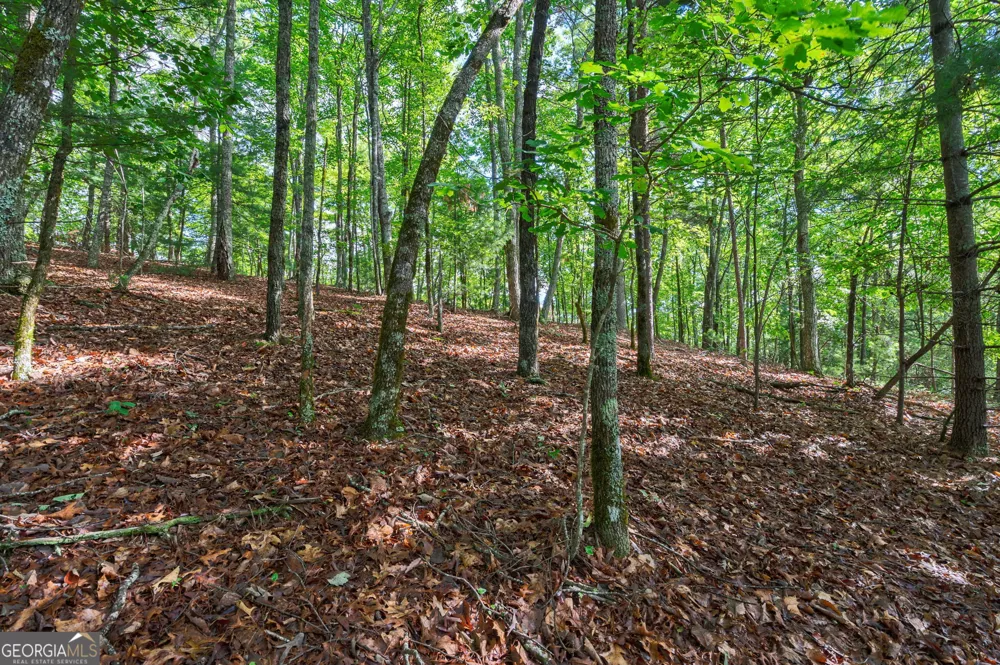 0 York Cemetery RD Sautee Nacoochee, GA 30571