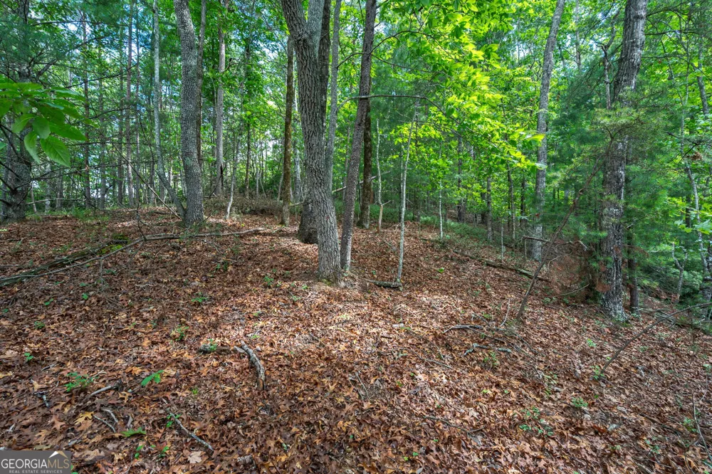 0 York Cemetery RD Sautee Nacoochee, GA 30571