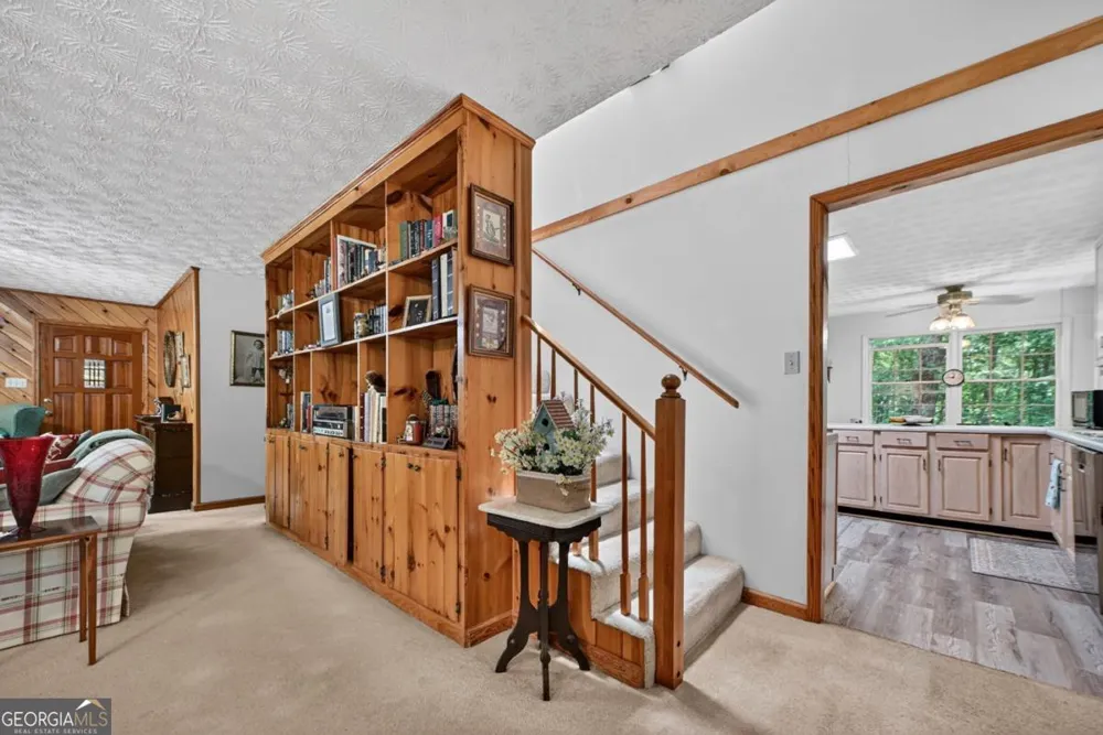 221 Shade Tree LN Mineral Bluff, GA 30559