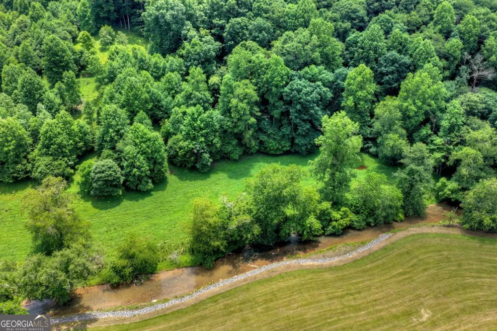 221 Shade Tree LN Mineral Bluff, GA 30559