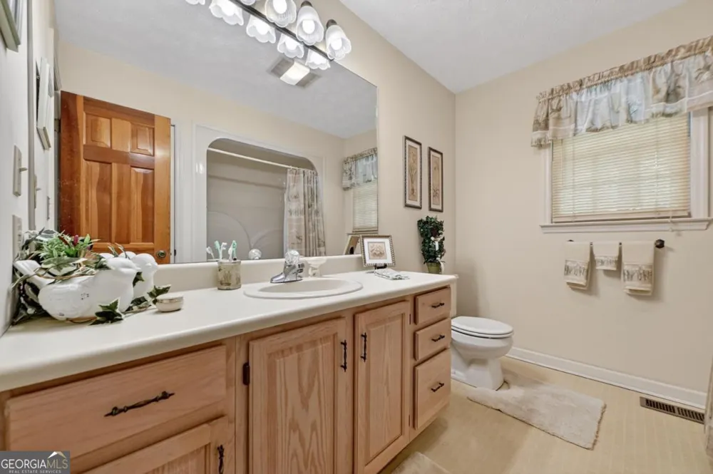 221 Shade Tree LN Mineral Bluff, GA 30559