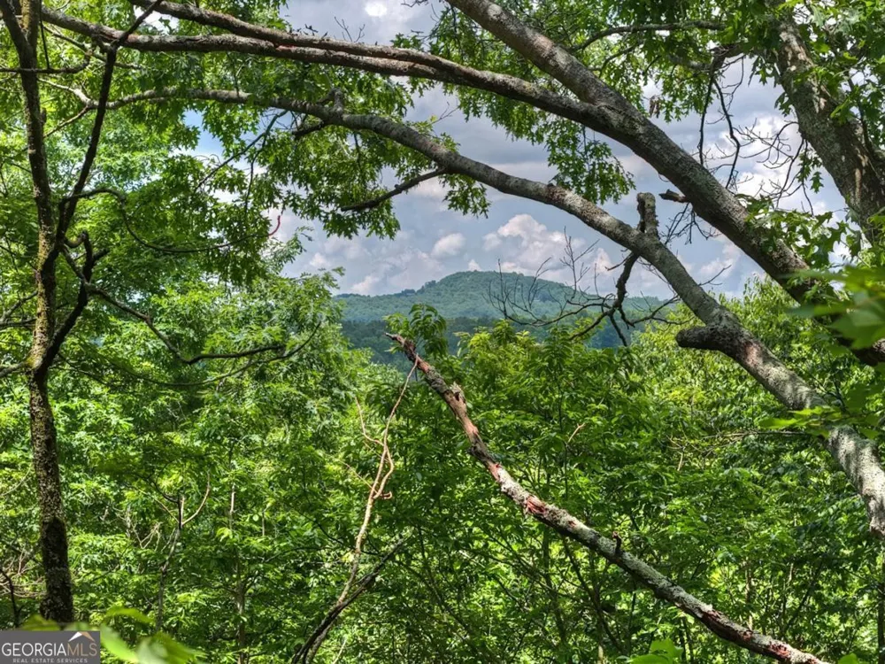 221 Shade Tree LN Mineral Bluff, GA 30559