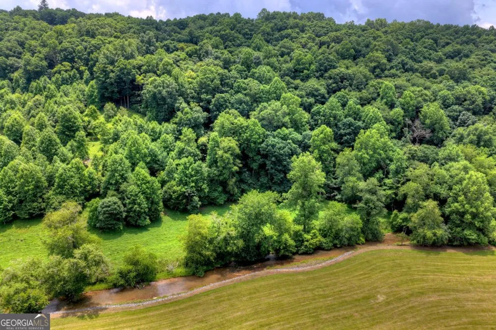 221 Shade Tree LN Mineral Bluff, GA 30559
