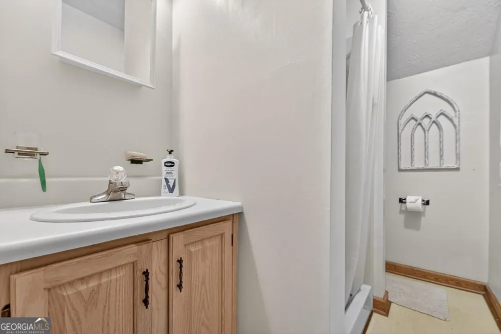 221 Shade Tree LN Mineral Bluff, GA 30559