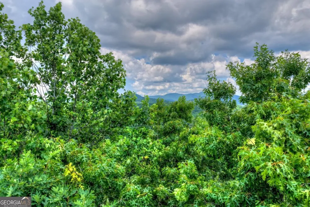 221 Shade Tree LN Mineral Bluff, GA 30559