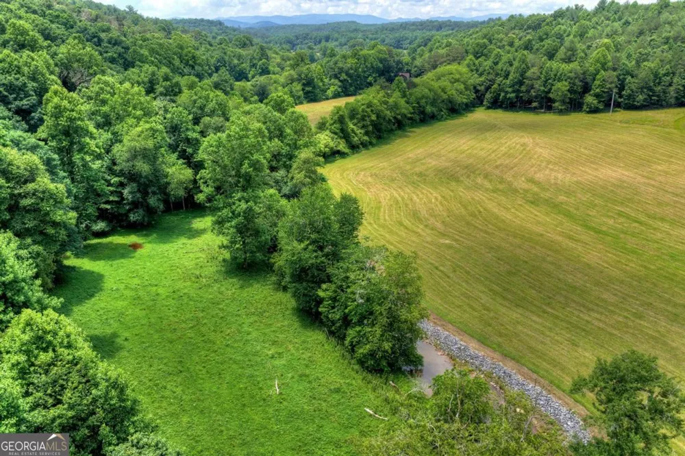 221 Shade Tree LN Mineral Bluff, GA 30559
