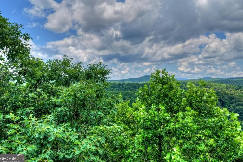 221 Shade Tree LN Mineral Bluff, GA 30559
