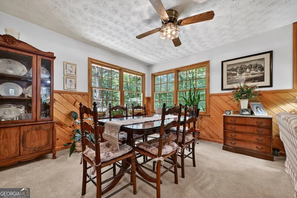 221 Shade Tree LN Mineral Bluff, GA 30559