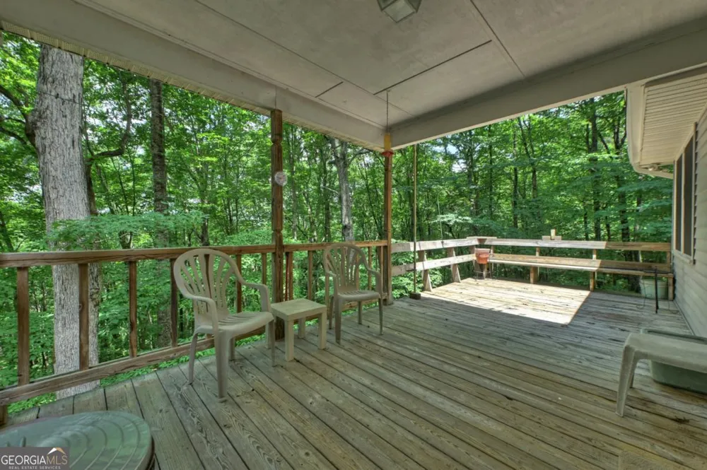 221 Shade Tree LN Mineral Bluff, GA 30559