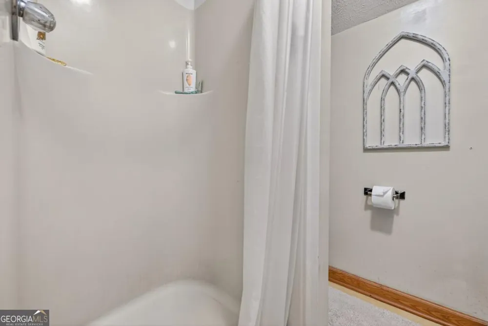 221 Shade Tree LN Mineral Bluff, GA 30559
