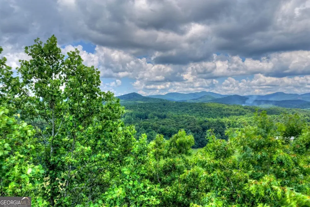 221 Shade Tree LN Mineral Bluff, GA 30559