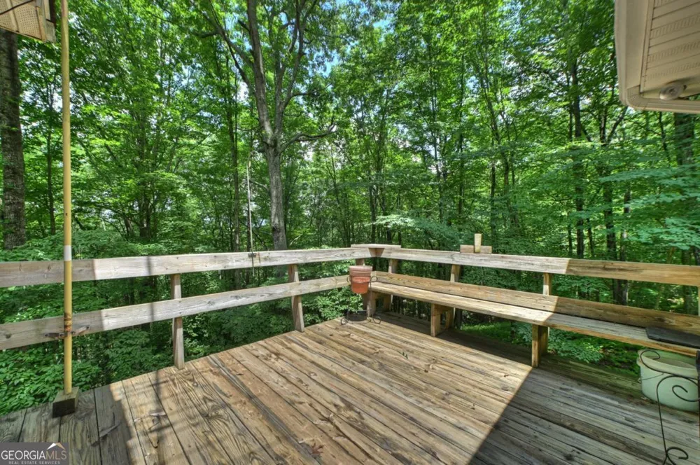 221 Shade Tree LN Mineral Bluff, GA 30559