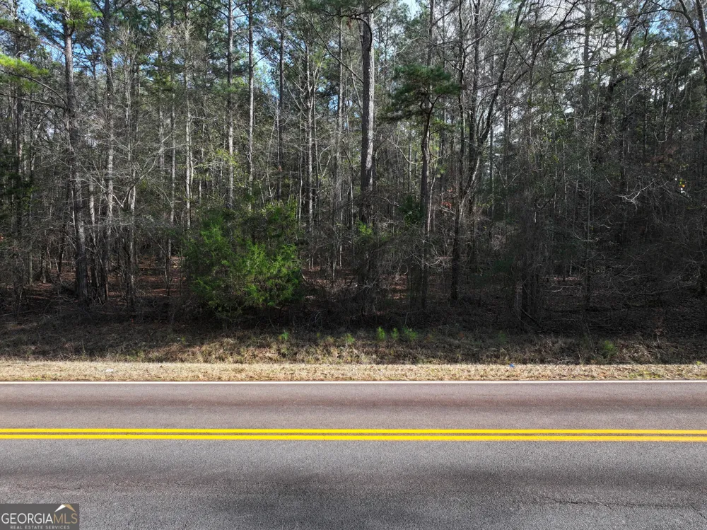 LOT 3 Salem RD Pine Mountain, GA 31822