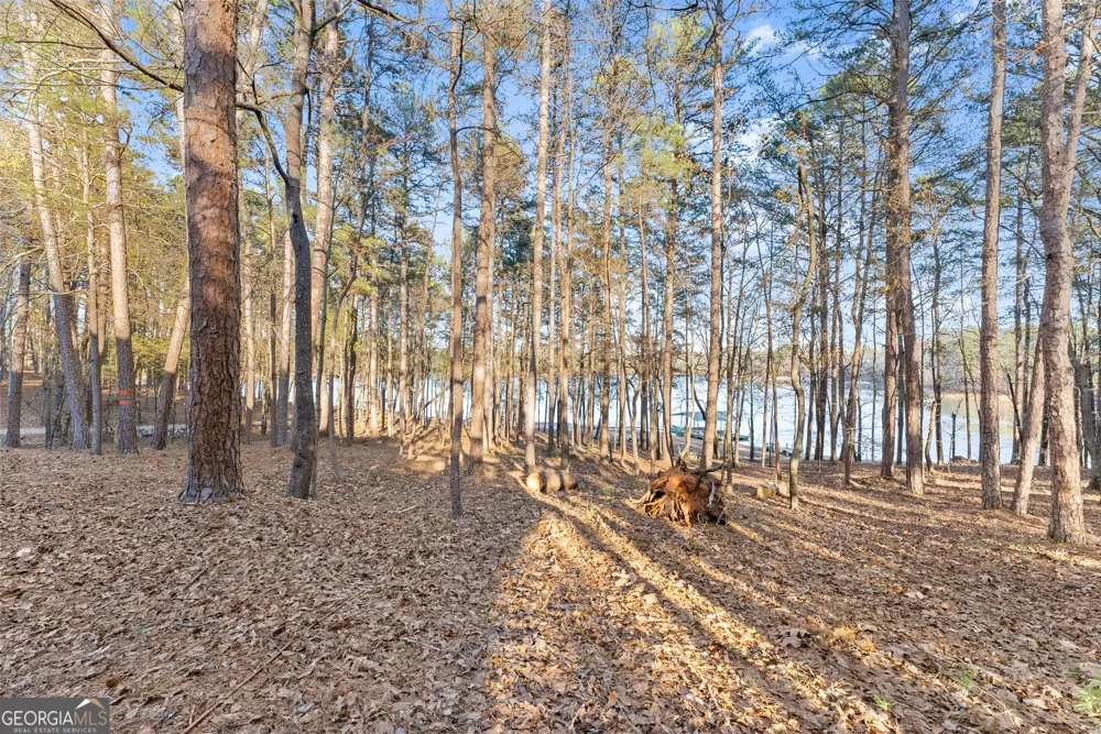 287 Spring Branch CIR Toccoa, GA 30577