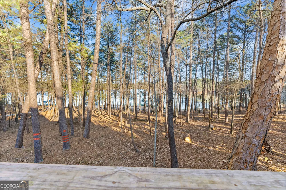 287 Spring Branch CIR Toccoa, GA 30577