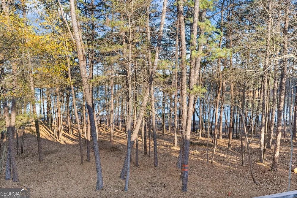 287 Spring Branch CIR Toccoa, GA 30577
