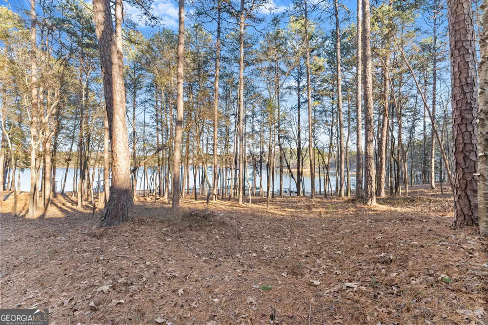 287 Spring Branch CIR Toccoa, GA 30577