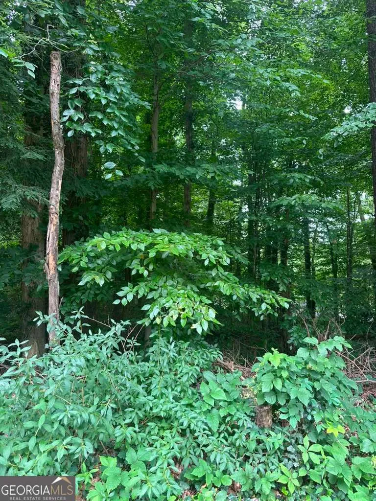 721 Aberdeen DR Stone Mountain, GA 30083