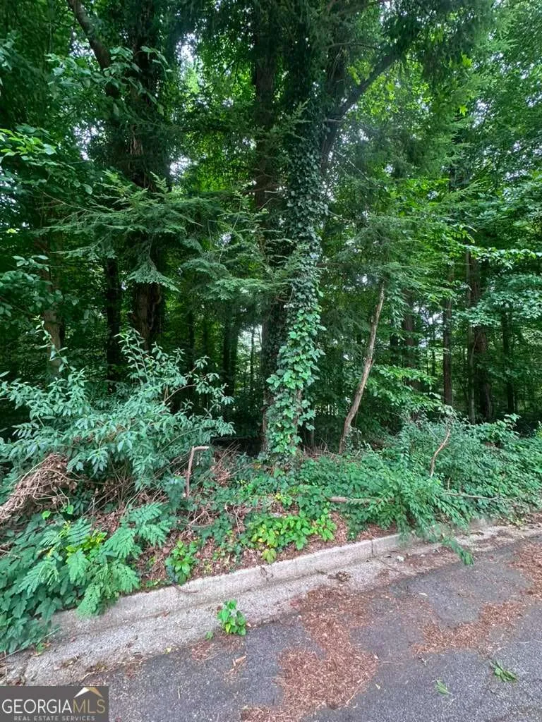 721 Aberdeen DR Stone Mountain, GA 30083