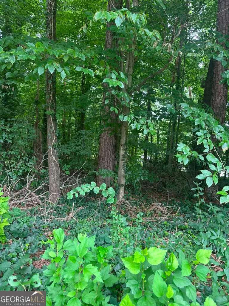 721 Aberdeen DR Stone Mountain, GA 30083