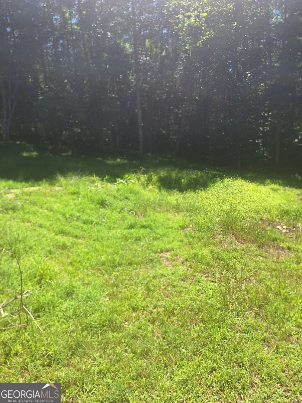 0 Judah RD Morganton, GA 30560