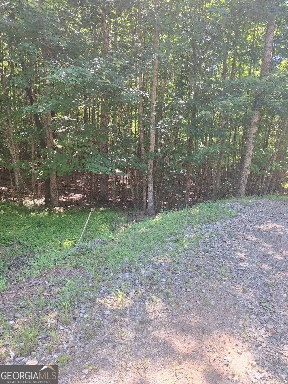 0 Judah RD Morganton, GA 30560