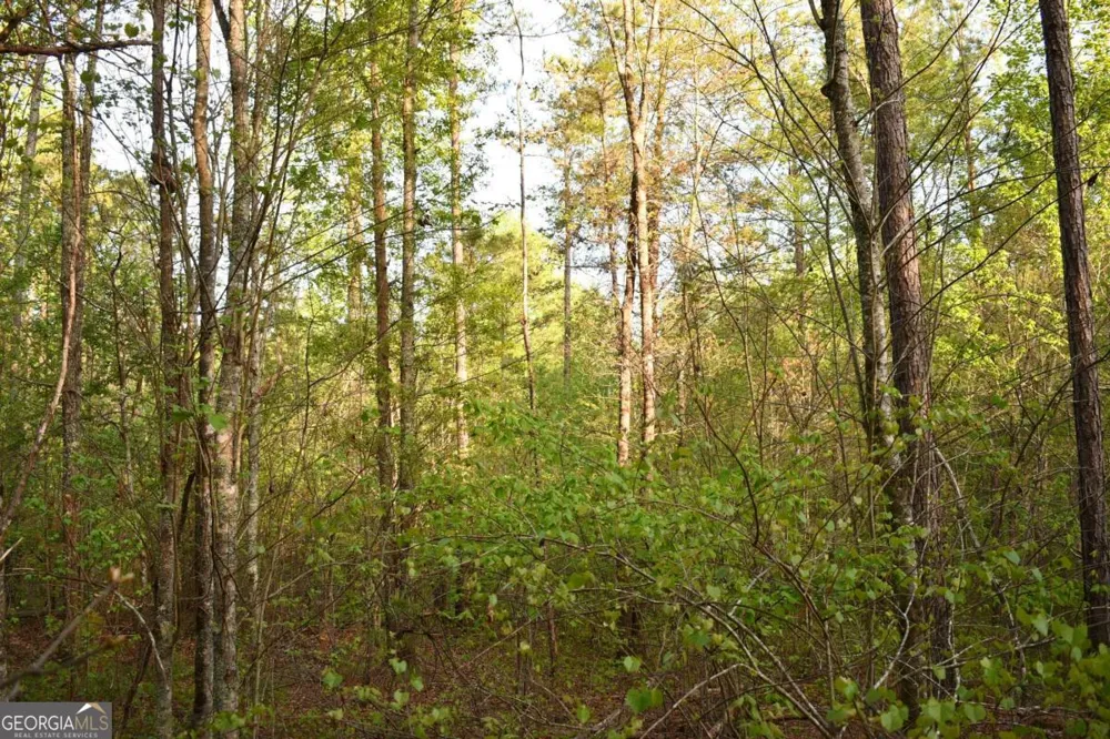 00004 Windridge LN Temple, GA 30179