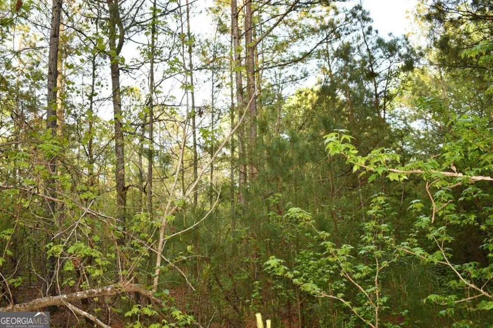 00004 Windridge LN Temple, GA 30179