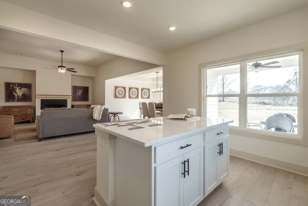 226 Good Hope Preserve Good Hope, GA 30641