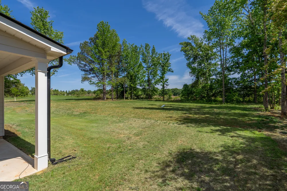 226 Good Hope Preserve Good Hope, GA 30641