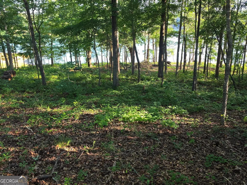 LOT 1 Pointe Sidney DR Hartwell, GA 30643