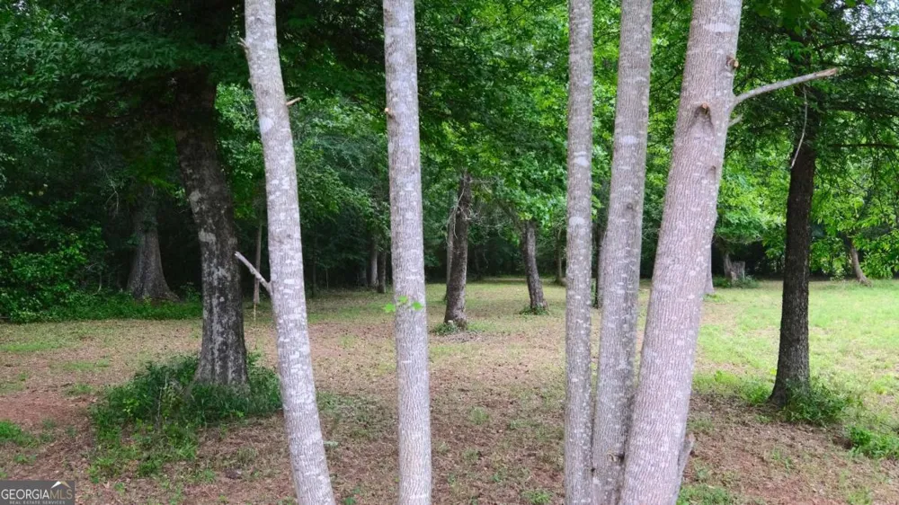 1455 Tappan Spur RD Watkinsville, GA 30677