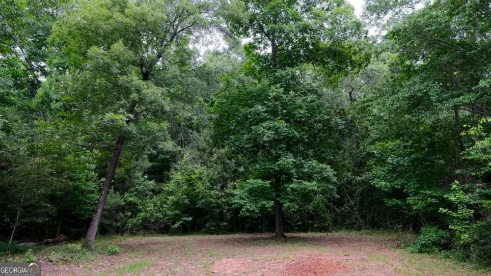 1455 Tappan Spur RD Watkinsville, GA 30677