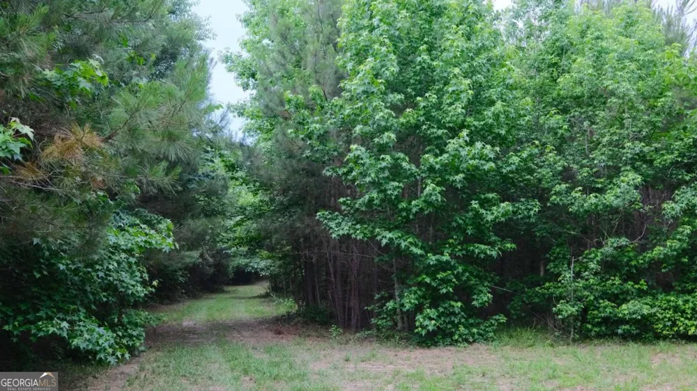 1455 Tappan Spur RD Watkinsville, GA 30677