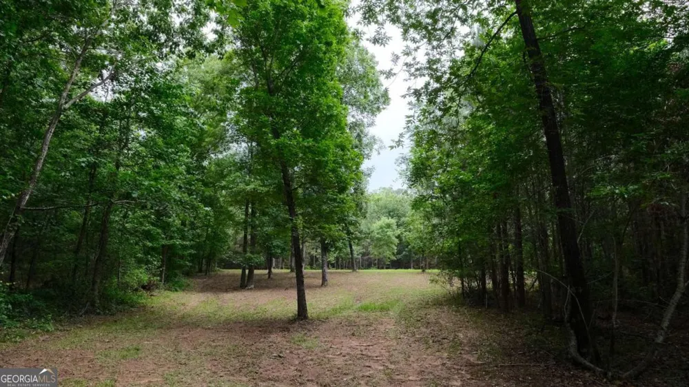 1455 Tappan Spur RD Watkinsville, GA 30677