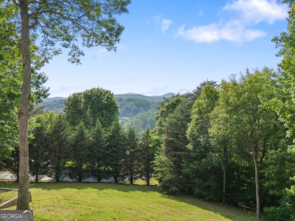 115 Wildcat RUN Suches, GA 30572