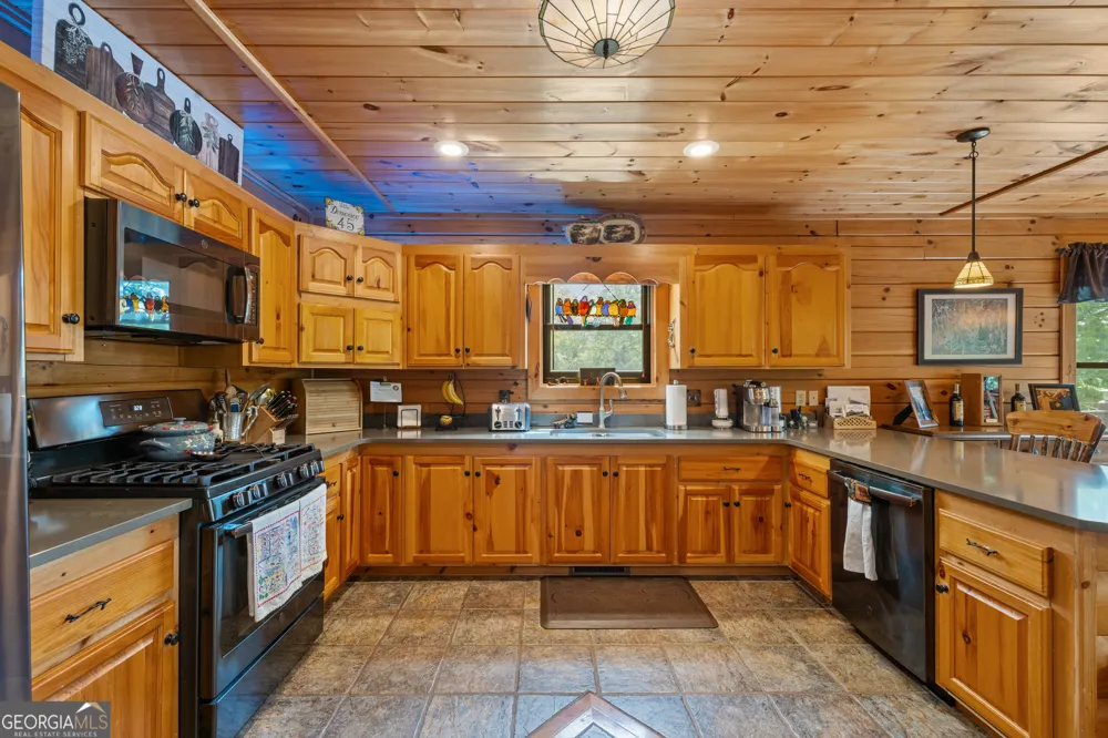115 Wildcat RUN Suches, GA 30572