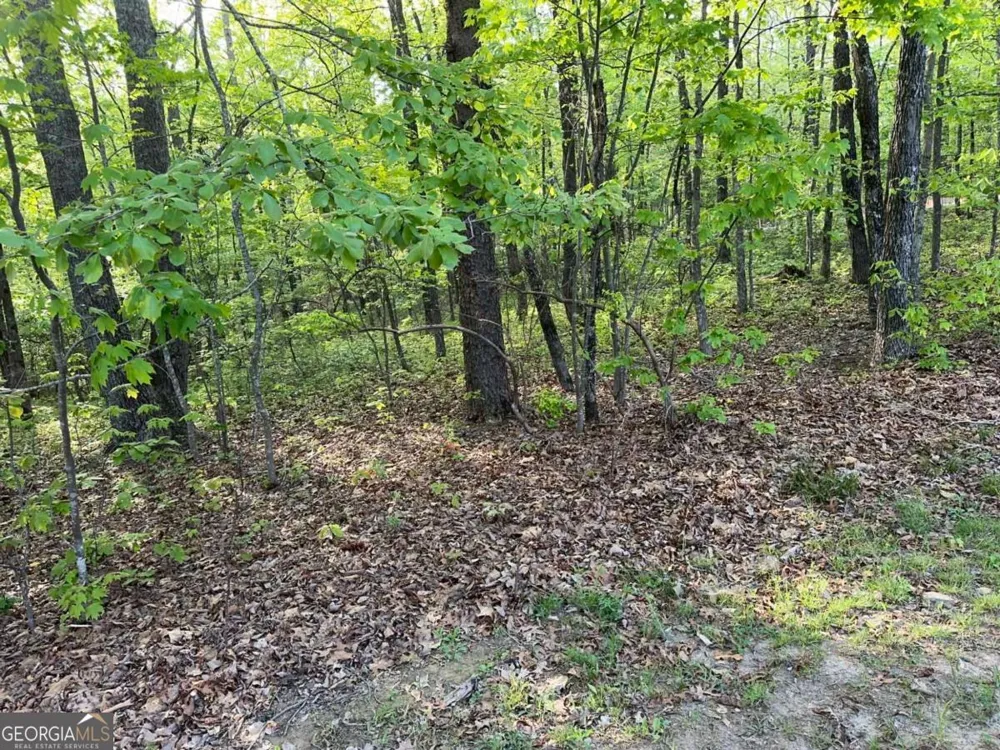 1440 Hanna DR Ranger, GA 30734