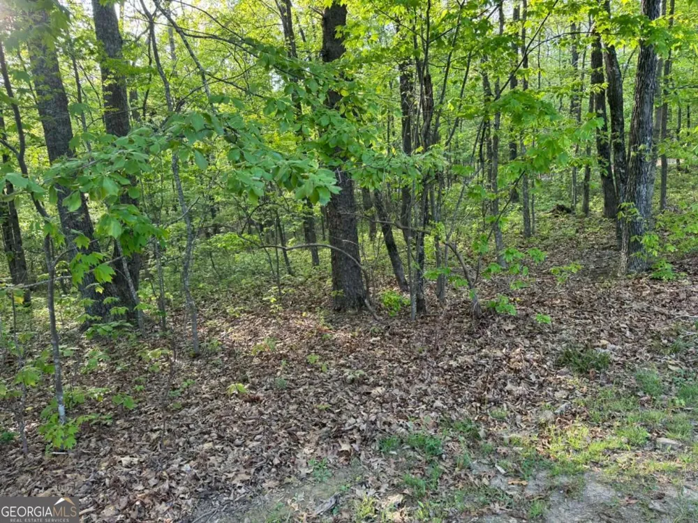 1440 Hanna DR Ranger, GA 30734