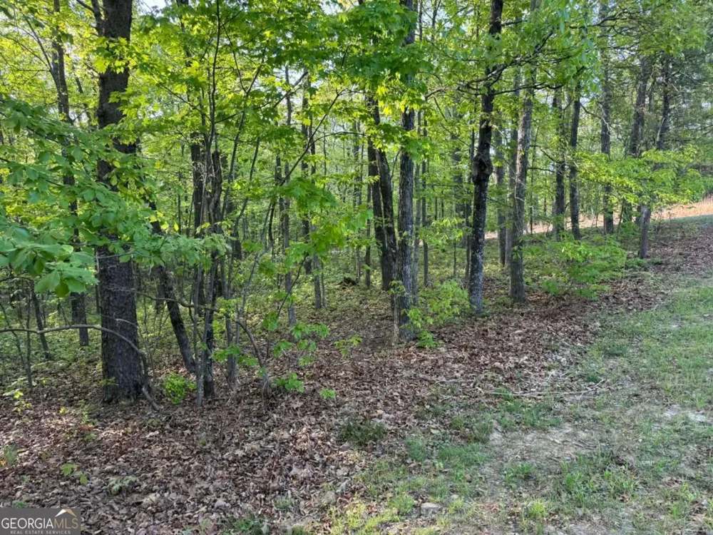 1440 Hanna DR Ranger, GA 30734