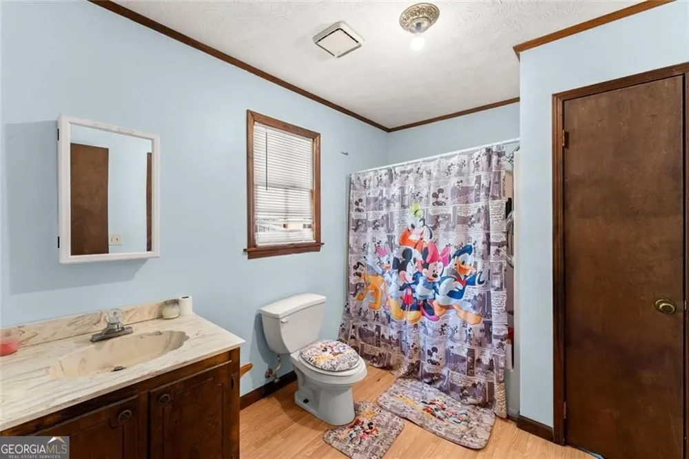 386 Allen ST Dawsonville, GA 30534