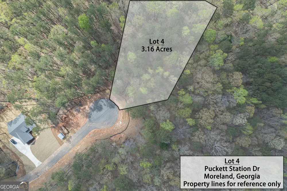 LOT 4 Puckett Station NONE Moreland, GA 30259