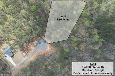 LOT 4 Puckett Station NONE
