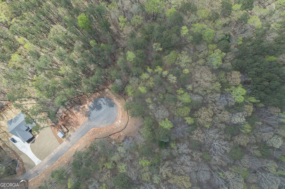 LOT 4 Puckett Station NONE Moreland, GA 30259