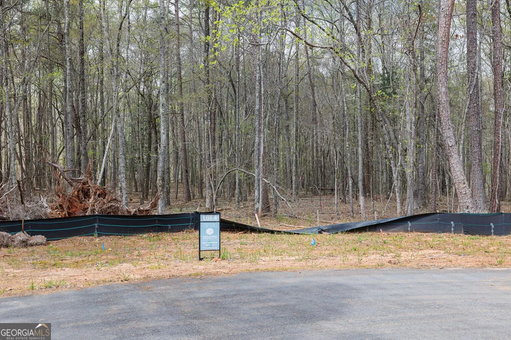 LOT 4 Puckett Station NONE Moreland, GA 30259