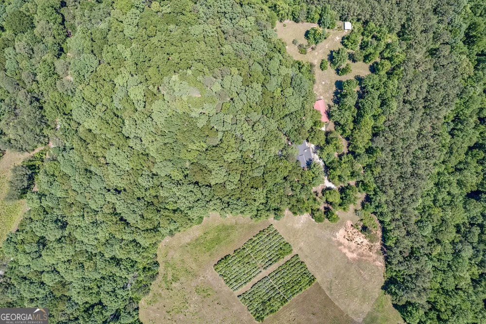 230 Haynes RD Moreland, GA 30259