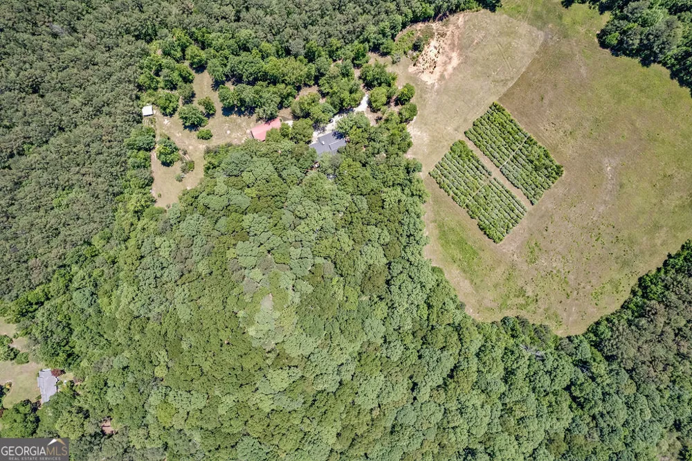 230 Haynes RD Moreland, GA 30259