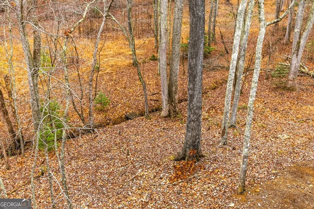170 Ross DR Mineral Bluff, GA 30559